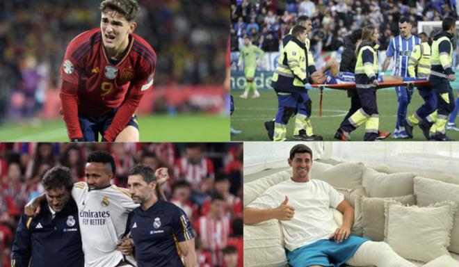 不仅证明了 不仅证明了